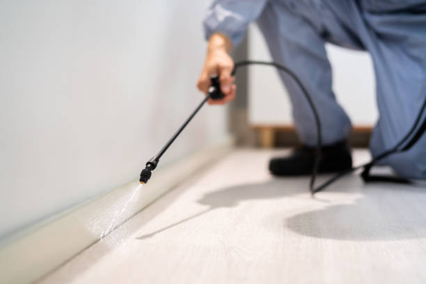 Certified termite inspector examining foundation in Athens